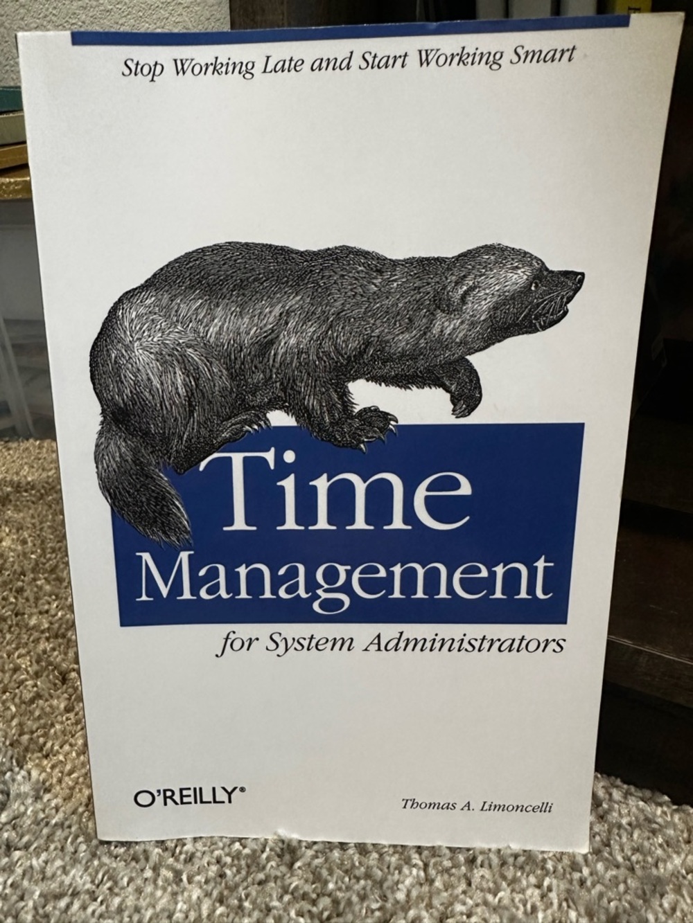 O'Reilly Time Management for System Administrators - IT Book